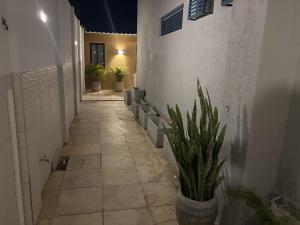 a hallway with potted plants on the side of a building at Suites Coliseu 40-A in Petrolina
