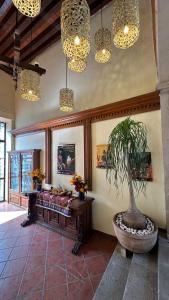 a room with a couch and a potted tree in it at Casona Bartolome in Morelia