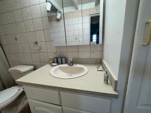 a bathroom with a sink and a toilet and a mirror at The Palms apt 2 in Cedar Grove +15 photos