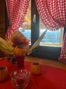 Afbeelding uit fotogalerij van Vikendica Fenix 29 in Ljubovija