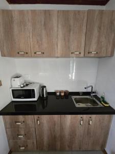 een aanrecht met een magnetron en een wastafel bij Bula Lodge Guest House in Nadi