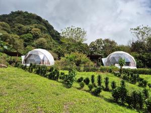 two domes in a garden with plants in a field at Glamping Monteverde in Monteverde Costa Rica