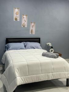 een slaapkamer met een groot wit bed met blauwe muren bij Estancia Sofia in Puerto Escondido