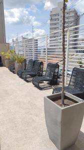 a row of black chairs and a tree in a planter at APTO EASY Poços de Caldas in Poços de Caldas