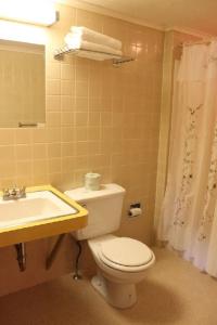 ein Bad mit einem WC und einem Waschbecken in der Unterkunft White Trellis Motel in North Conway