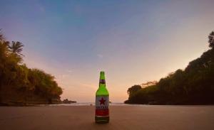 a bottle of beer sitting on the beach at Clover Cove Villa in Tabanan