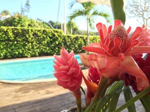 a vase filled with pink flowers next to a pool at Villa lagon bleu in Le Gosier