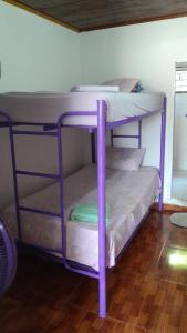a purple bunk bed in a room with a wooden floor at Caribe Tolú in Tolú