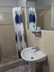 a bathroom with a sink and a shower curtain at Jacqueline's Court in Mount Pleasant