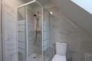 a bathroom with a shower and a toilet at Les 3 epines in Rennes +16 photos