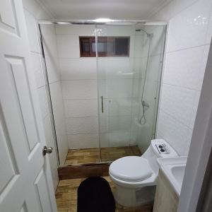 een badkamer met een douche, een toilet en een wastafel bij Tiny Tunquen in Valparaíso +24 foto's