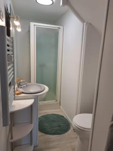 ein Badezimmer mit Waschbecken und Toilette in der Unterkunft La Tanière in Bains-les-Bains + 10 Fotos