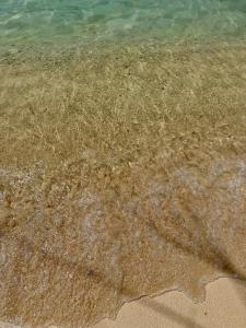 Naturlandskabet i nærheden af villaen