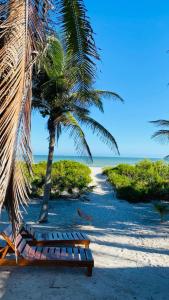 two lounge chairs and a palm tree on a beach at Frequency Beachfront Domes El Cuyo in El Cuyo