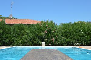 
The swimming pool at or near Pozzo al Moro Village
