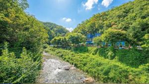 Naturlandskabet i nærheden af feriehuset