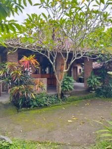 een bakstenen huis met een boom ervoor bij waroeng bangket in Mantang +8 foto's