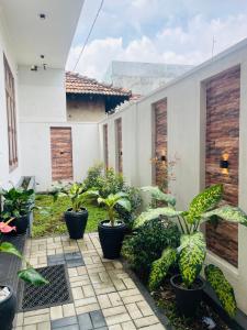 a courtyard with potted plants on a building at Sky View in Matara