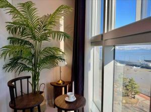 Phong cảnh thiên nhiên gần khách sạn căn hộ