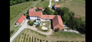 een luchtfoto van een huis in een wijngaard bij Kajžarka in Miklavž pri Ormožu