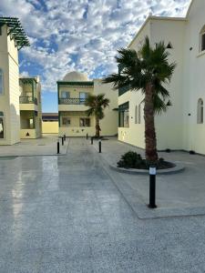 a courtyard with two palm trees and a building at Mazari in Marsa Alam City
