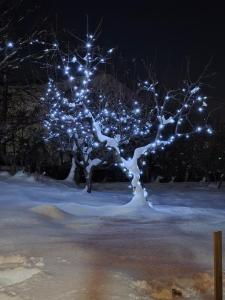 Afbeelding uit fotogalerij van Madoyans Rest House in Antarut