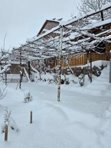 Afbeelding uit fotogalerij van Madoyans Rest House in Antarut