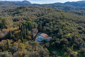 an aerial view of a house in the middle of a forest at Casa Sorgente in Ágioi Doúloi