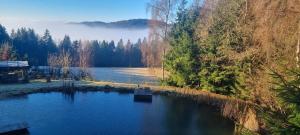 Naturlandskabet i nærheden af lejligheden