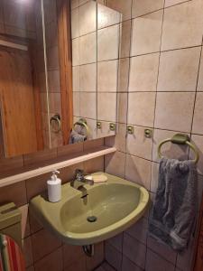een badkamer met een groene wastafel en een spiegel bij Casa Carmen - gemütlich, wohlfühlen in Allmersbach im Tal +8 foto's