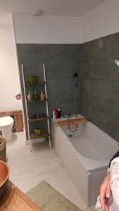 Phòng tắm tại La Villa du Teich +27 ảnh