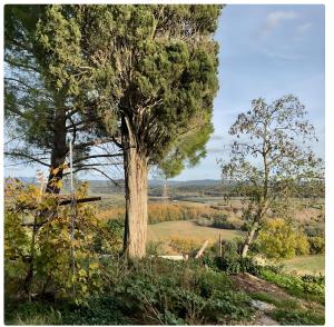 Naturlandskabet i nærheden af feriegården