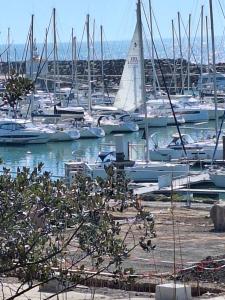 Naturlandskabet i nærheden af feriehuset