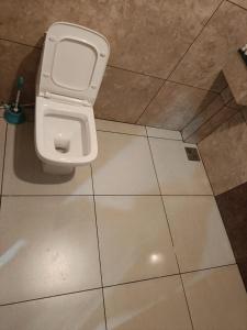 ein WC im Bad mit Fliesenboden in der Unterkunft Eco Eden Homestay in Kalpatta