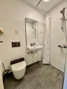 un bagno bianco con un water e un lavandino di City Aarhus a Arhus Altre 47 foto