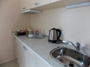 A kitchen or kitchenette at Apart Hotel Rosen