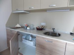 A kitchen or kitchenette at Apart Hotel Rosen