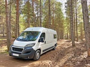 een witte bestelwagen die over een onverharde weg in het bos rijdt bij Glamping converted van with bathroom in Los Cristianos