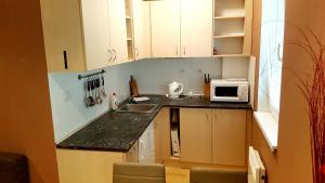 a small kitchen with a sink and a microwave at Apartmány Orbit Karlov in Malá Morávka