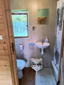 une salle de bains avec toilettes et lavabo dans l'établissement Domki letniskowe "Barbarki" Solina 99, à Solina 31 autres photos