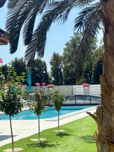 Hồ bơi trong/gần Apartamenty AQUA MAZURY +50 ảnh