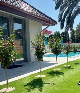 Hồ bơi trong/gần Apartamenty AQUA MAZURY