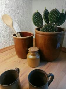 Drei Blumentöpfe und ein Kaktus stehen auf einem Holzboden. in der Unterkunft Nature Gem Near Haderslev With 160-Year-Old Beech in Vedbøl + 27 Fotos