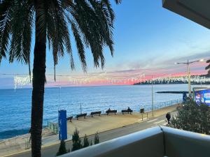 vista su una spiaggia con una palma e sull'oceano di Menton 2 pièces climatisé à côté de la plage rue palmaro a Mentone
