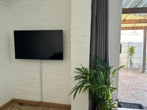 a flat screen tv on a wall with a plant at Layover on Loerie in Cape Town
