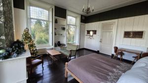 a living room with a bed and a christmas tree at De kastanjehof 31 in Beerta