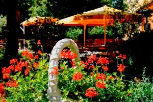 a garden with red flowers and an umbrella at Seibel's Park Hotel in Munich