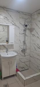 un bagno con doccia e lavandino di Tamara a Drvar Altre 7 foto