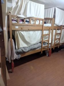 a couple of bunk beds in a room at Backpackers Georgia in Tbilisi City