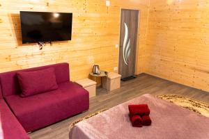 Televisor o centre d'entreteniment de Casuta DM